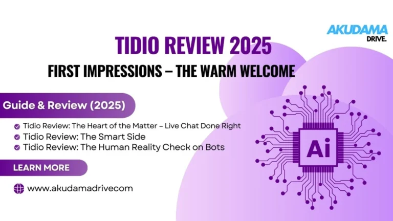 tidio review 2025